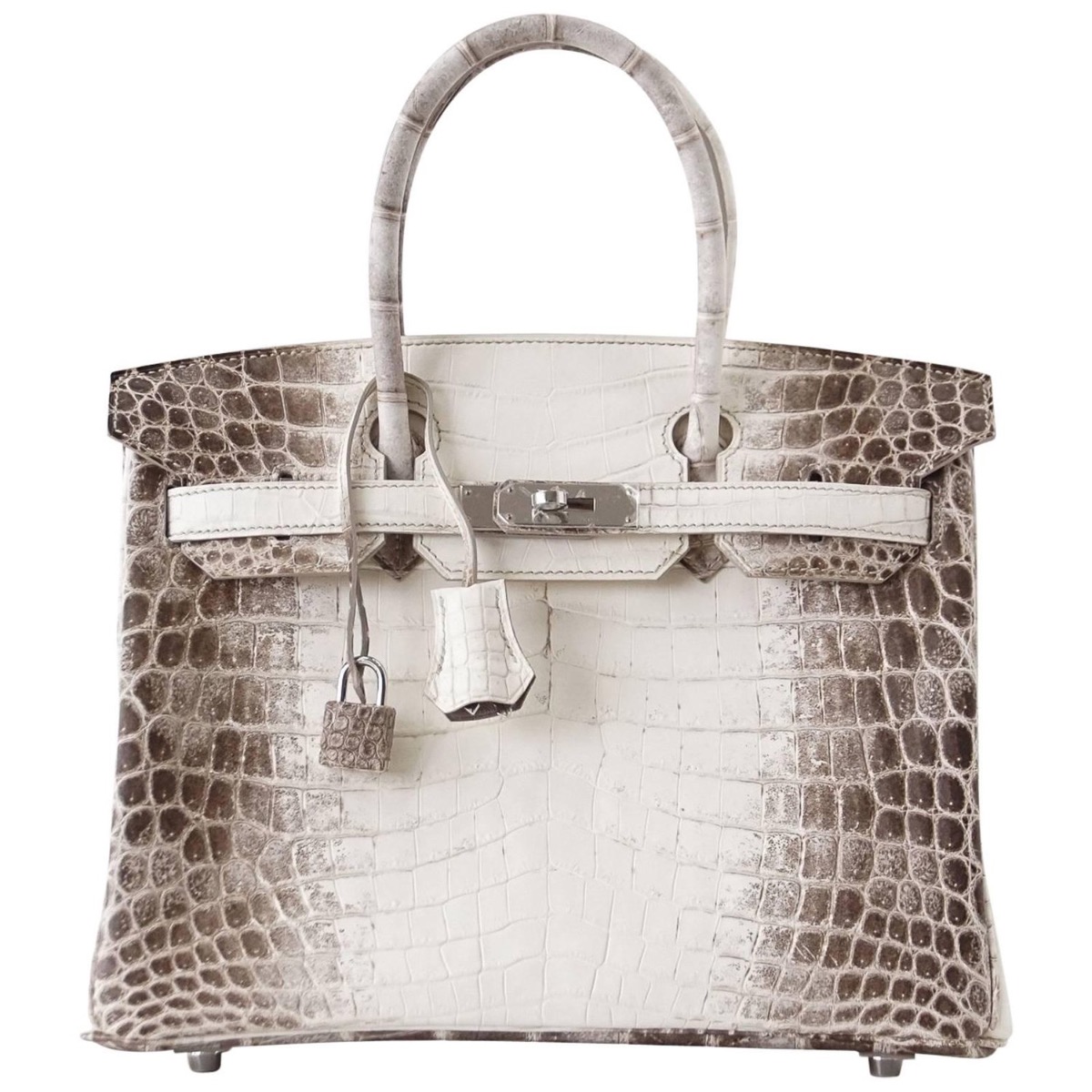 Hermès Birkin Bag in Blanc Himalaya Palladium